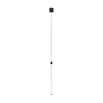 Подвесной светильник Maytoni P022PL-L20B3K 250_100_Array
